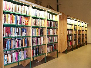 Narvan entinen kirjasto