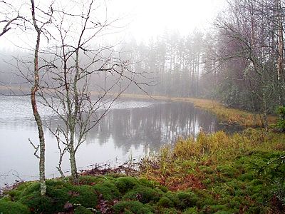 Kaakkolammi R�ms��ss� 11.11.2000