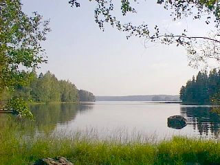 Suonojärvi