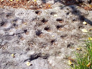 Kuppikivi Rapolan muinaislinnassa