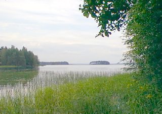 Ruonanlahti